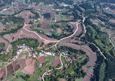 内江市东兴区局周全做好耕地； 全力做好用地包管