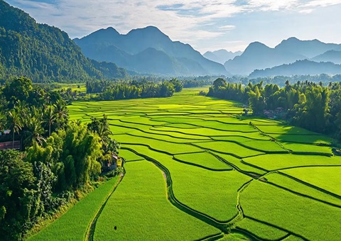 “自然资源+税务”协同共治！崇左筑牢耕地保唬；び胨笆铡八老摺