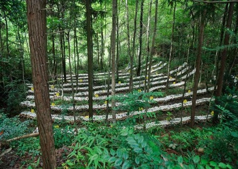 江西森林可持续谋划：：：开创生态美工业兴黎民富协同生长新时势