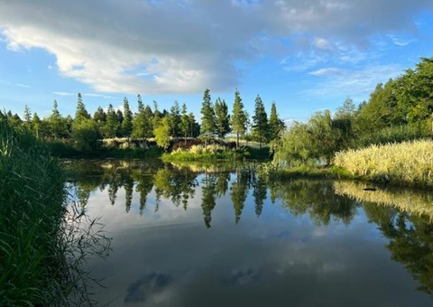 湖北武汉：“人工智能+”赋能湿地智慧制作新模式