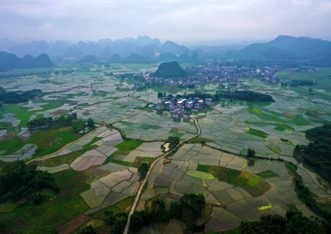 重磅释放！玉林市29宗焦点地块集中推介解锁投资新商机