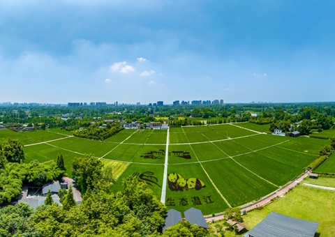 四川省成都会温江区局以综合羁系驾驶舱为核   周全激活数智治理新效能