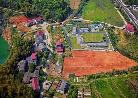 株洲：：“三链联动”推动耕地耕作层剥离再使用